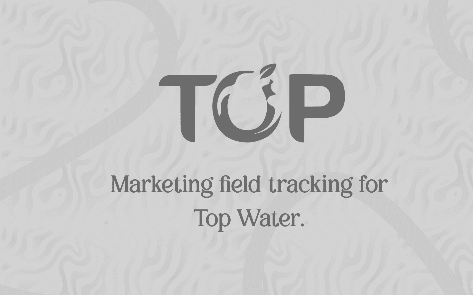 TFF (Top Force Field): Marketing field tracking for Top Water. screenshot 1